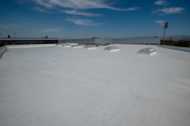 Best Commercial Roofing Services  in Burnham, IL